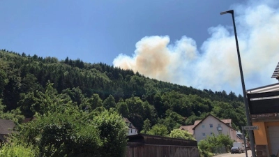 Was den Rauch von Waldbränden so gefährlich macht, ist vor allem der Feinstaub. Er kann zu Entzündungsreaktionen im Körper führen. (Foto: Polizeipräsidium Kaiserslautern/dpa)