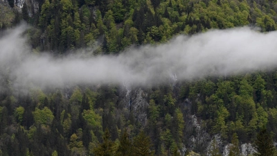 Zwischen Hohenschwangau und Berchtesgaden ließ König Maximilian II. einige Jagd- und Pirschhütten errichten. (Symbolbild) (Foto: Angelika Warmuth/dpa)