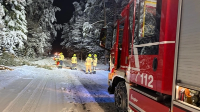 Einige Fahrzeuge kollidierten mit eingeschneiten, kaum erkennbaren Bäumen. Deshalb waren die Feuerwehren, wie hier die FFW Markt Erlbach, unter anderem damit beschäftigt, umgefallene Bäume von der Straße zu bringen.  (Symbolbild: Rainer Weiskirchen )