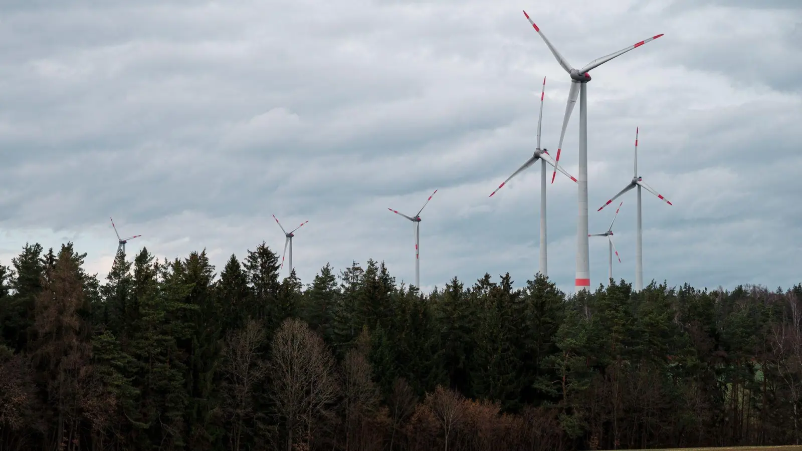 In bestimmten Ausnahmen lockern die Staatsforsten ihr bisheriges Vergabeverfahren für Windräder - nicht immer ist die Höhe der Pacht das entscheidende Kriterium für einen Zuschlag. (Archivbild) (Foto: Daniel Vogl/dpa)