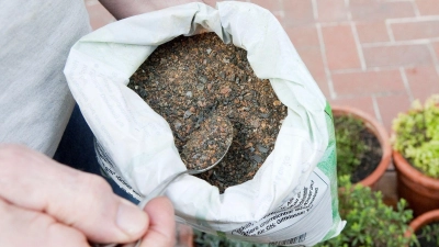 Hornspäne als natürlicher Langzeitdünger: Der organische Dünger gibt Stickstoff langsam an den Boden ab und eignet sich ideal für stark zehrende Pflanzen wie Tomaten oder Kürbisse. (Foto: Kai Remmers/dpa-tmn)