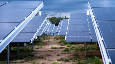 Im Sommer ist der Solarpark Flachslanden eröffnet worden. Die Bilanz der Neue Energie Flachslanden UG hat das erstmal ins Minus gedrückt. Das ist aber nur anfangs der Fall, versichert Bürgermeister Hans Henninger.  (Foto: René Chlopotowski)