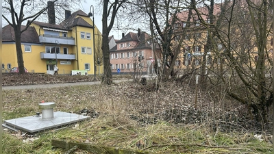 Im Bereich des Kasernendamms müssen einige Bäume und Sträucher weichen. Hier soll ein Pumpwerk entstehen. (Foto: Florian Pöhlmann)