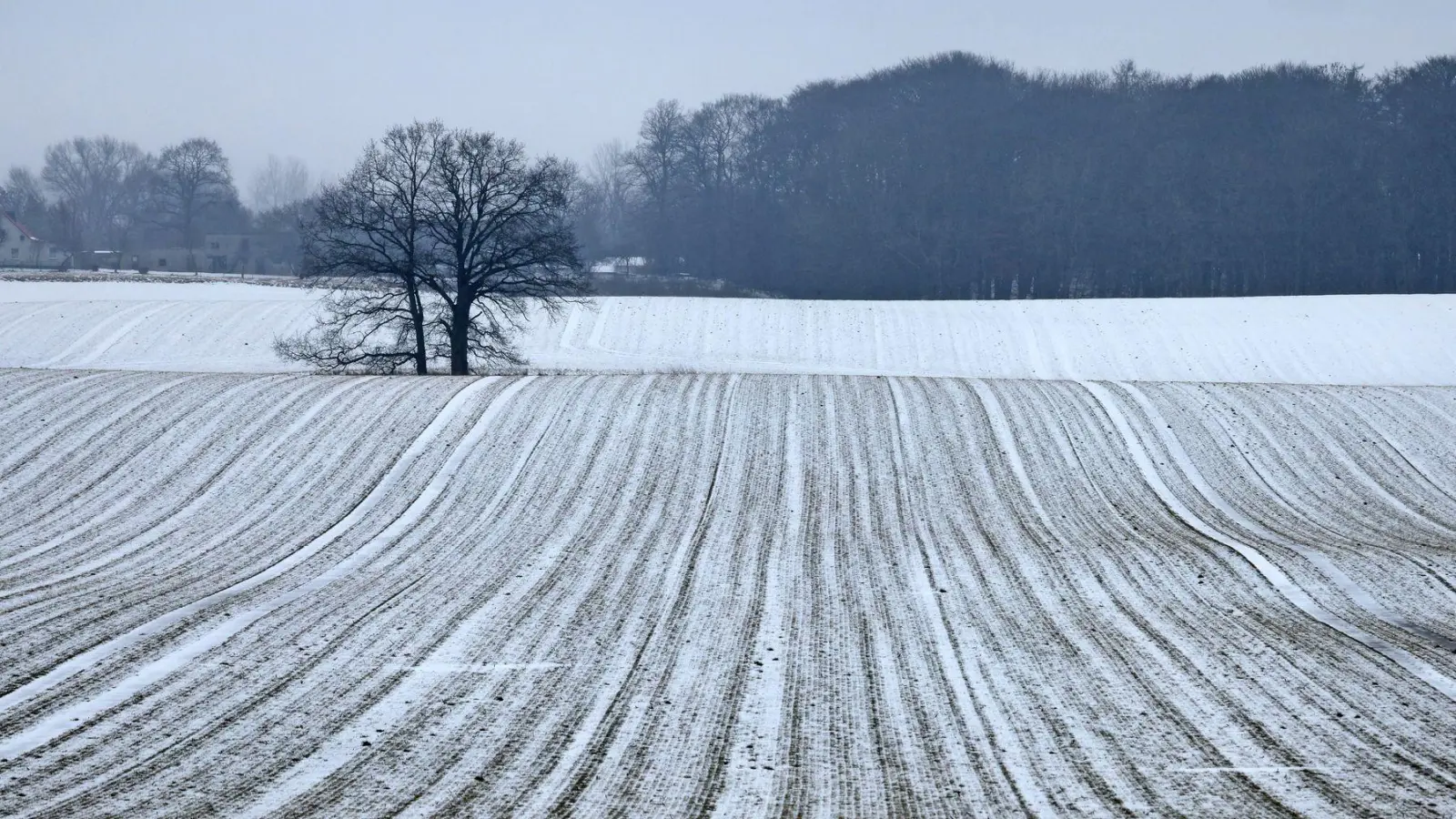 Schnee bis in die Niederungen ist am Samstag für die Mitte und den Süden vorhergesagt. (Foto: Bernd Wüstneck/dpa)