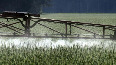 Die EU hat die Genehmigung für Glyphosat zuletzt bis Ende 2033 verlängert. (Symbolbild) (Foto: Peter Förster/dpa)