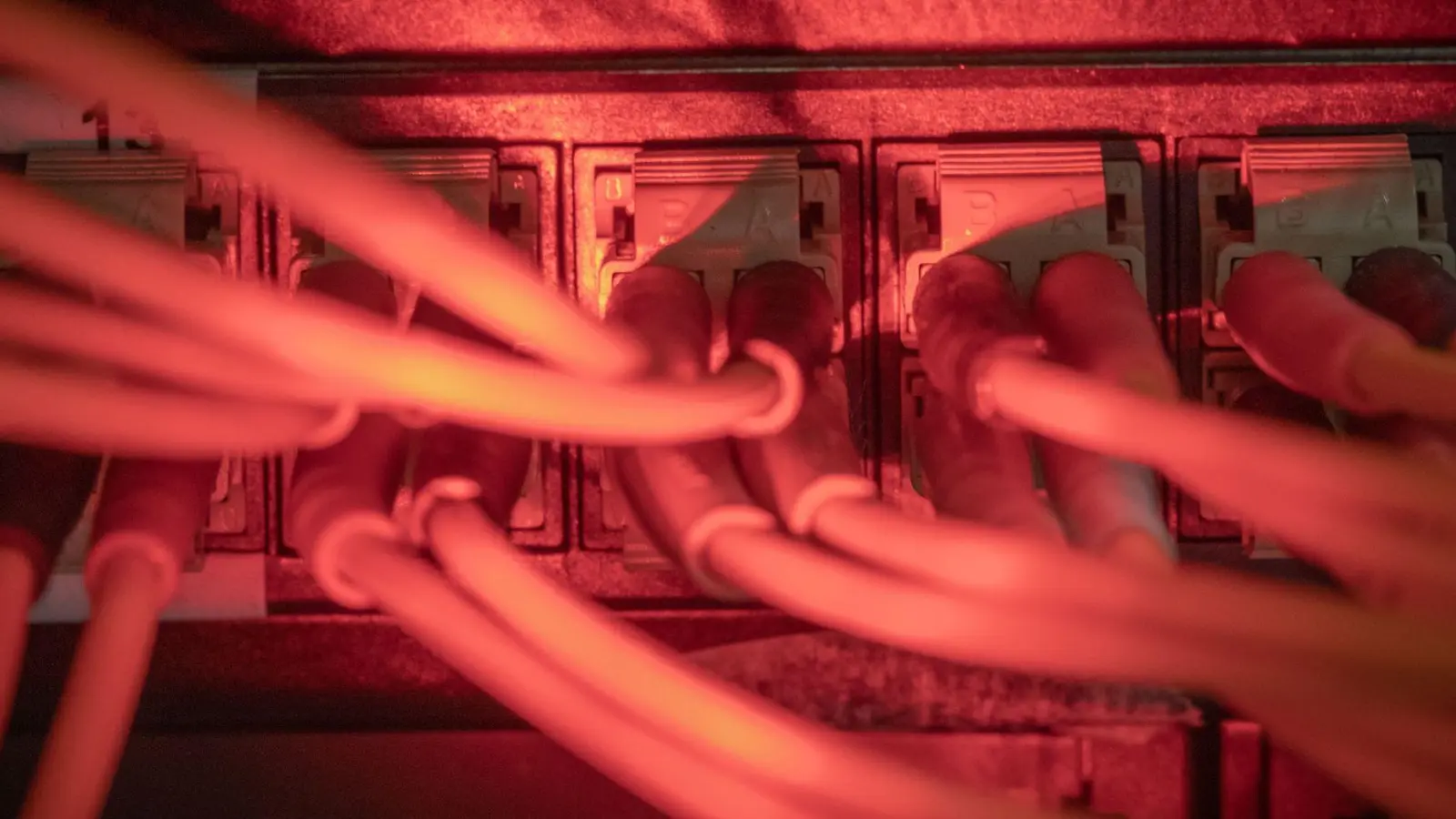 Datenlecks verunsichern: Passwortmanager helfen, sichere und individuelle Logins zu nutzen. (Foto: Michael Kappeler/dpa)