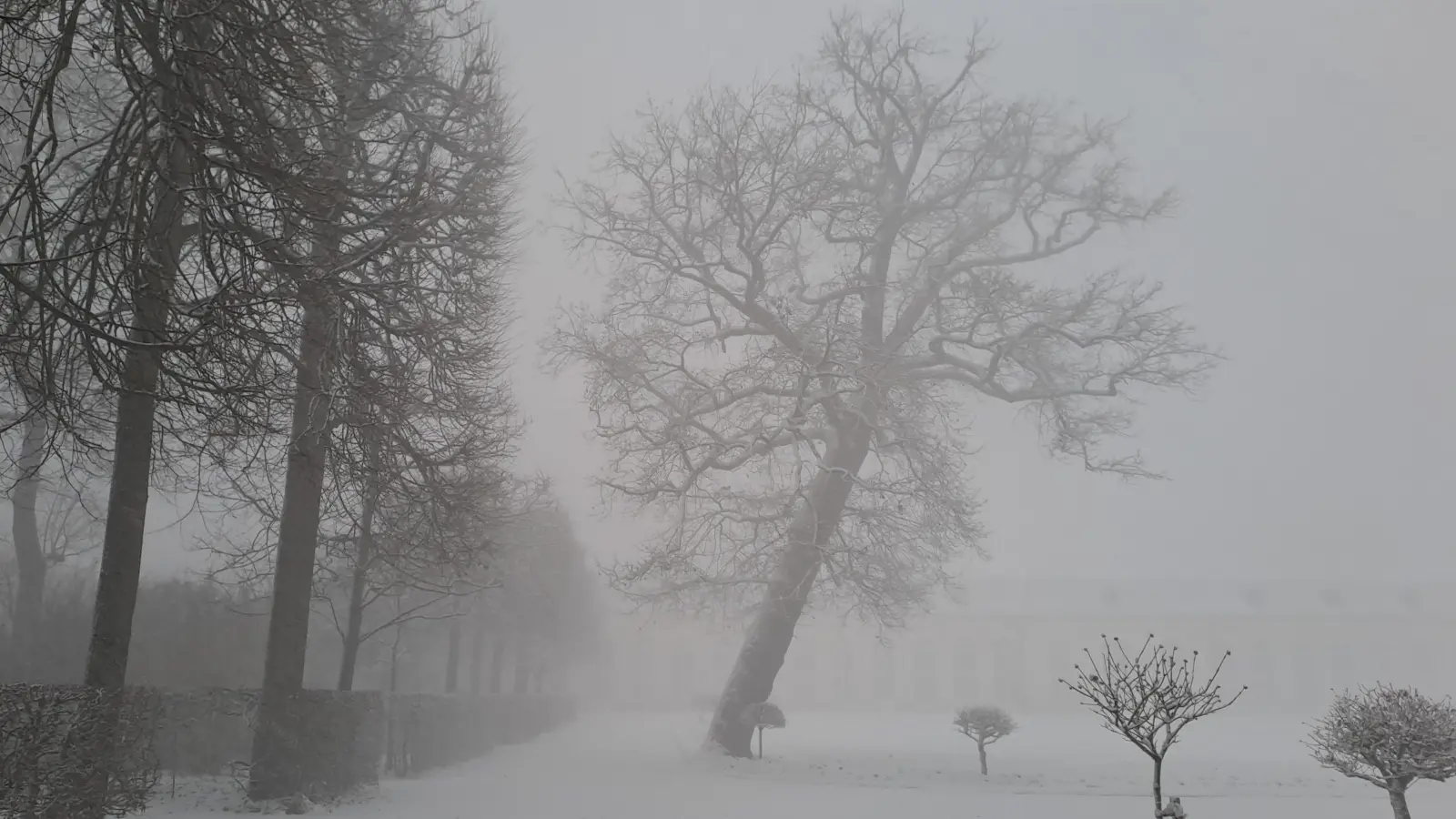 Durch den Schneesturm kaum zu erkennen: der Hofgarten in Ansbach.  (Foto: Johannes Hirschlach)