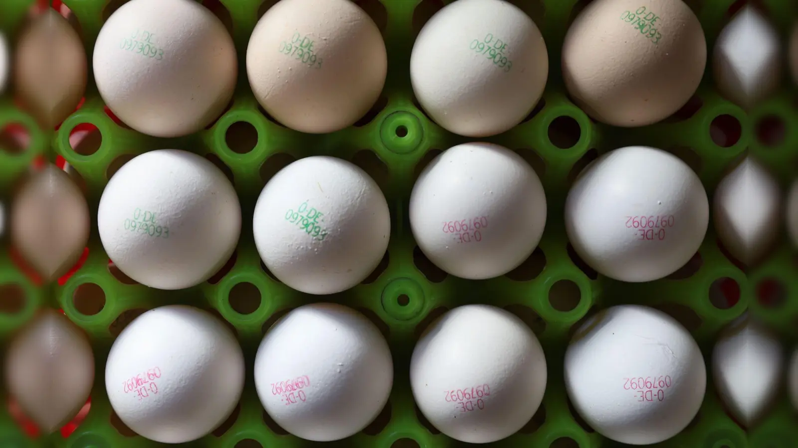 Das heimische Futter reicht nicht, um die Nachfrage nach Bio-Eiern zu bedienen. Deshalb sind die Bauern auf Importe angewiesen. (Symbolbild) (Foto: Karl-Josef Hildenbrand/dpa)