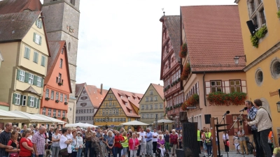 Rund 500 Menschen demonstrierten am Sonntag lautstark für die Zukunft des Dinkelsbühler Krankenhaus. Einen musikalischen Beitrag leistete das Duo Old City Boys. (Foto: Martina Haas)