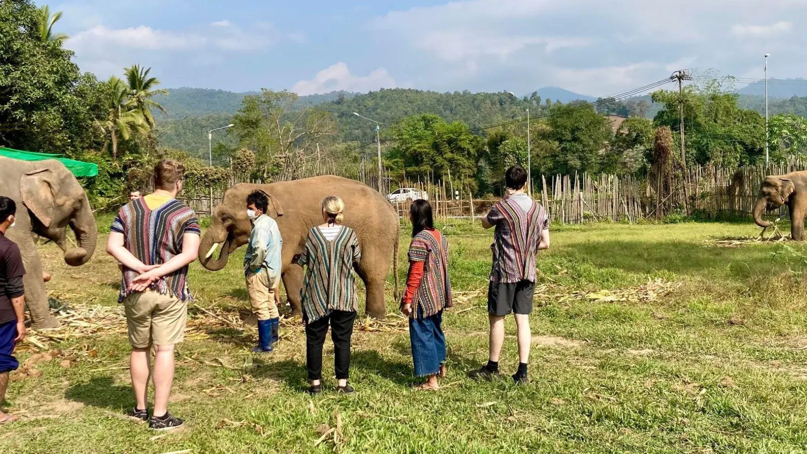 In thailändischen Elefantencamps kommen Touristen den Tieren ganz nahe. (Archivbild) (Foto: Carola Frentzen/dpa)