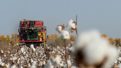 China wirft PVH vor, Baumwolle und andere Produkte aus Xinjiang gemieden zu haben. (Symbolbild) (Foto: Ma Kai/XinHua/dpa)