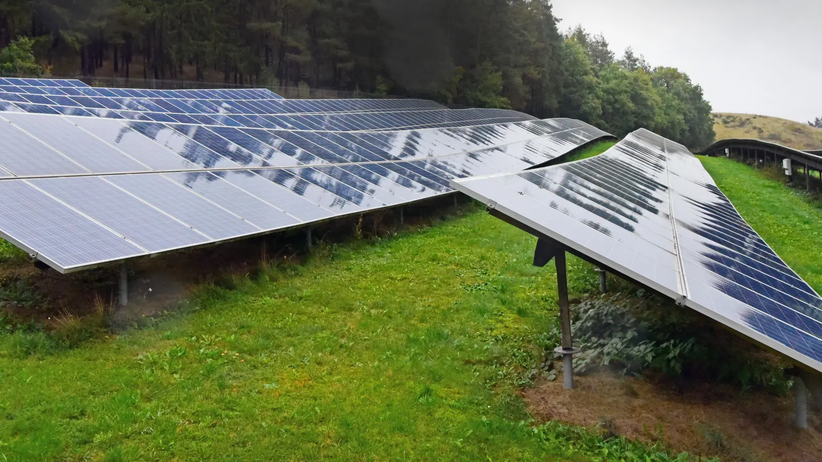 Ob auf Wiesen oder ehemaligen Äckern: Landwirtschaftliche Flächen werden zunehmend für die Errichtung von Freiflächen-Solaranlagen genutzt. (Archivfoto: Jim Albright)