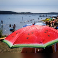Das Baden im Kleinen Brombachsee ist wegen Blaualgen derzeit untersagt. (Symbolbild) (Foto: Daniel Karmann/dpa)