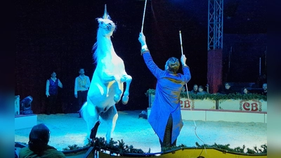 Ein Einhorn in Ansbach? So etwas kann es nur im Zirkus geben. (Foto: Andrea Walke)