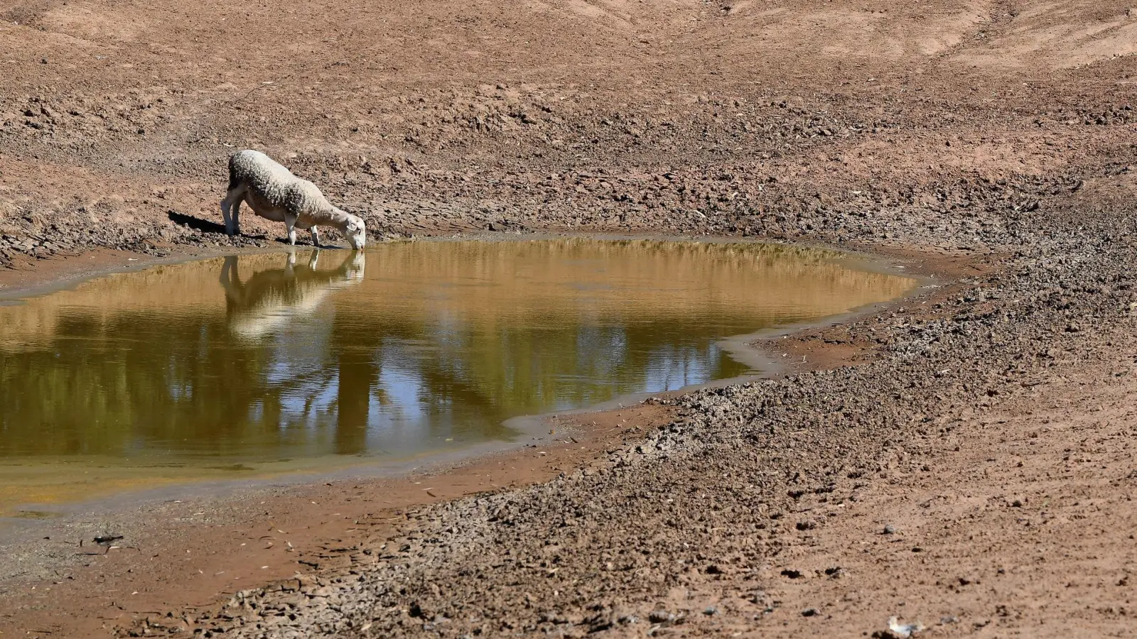 Die NOAA hat den Beginn von El Niño verkündet. (Symbolbild) (Foto: Dean Lewins/AAP/dpa)