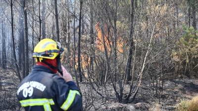 Die Feuerwehr kämpft gegen eine Reihe wiederaufflammender Brände. (Foto: Katharina Kausche/dpa)