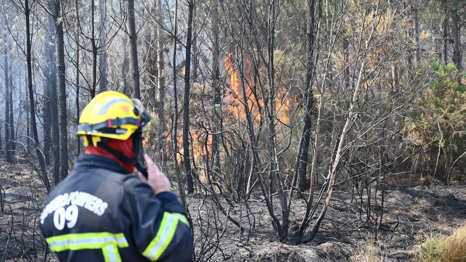 Die Feuerwehr kämpft gegen eine Reihe wiederaufflammender Brände. (Foto: Katharina Kausche/dpa)