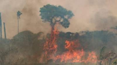 Der Klimawandel beeinträchtigt weltweit immer stärker die menschliche Gesundheit. (Archivbild) (Foto: Andre Penner/AP/dpa)