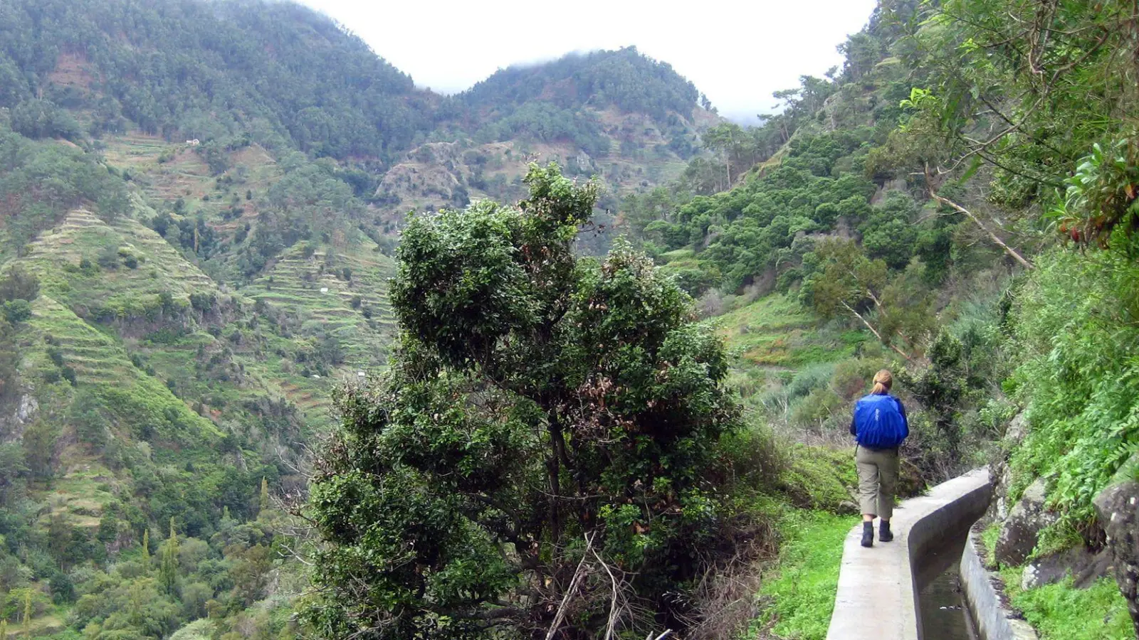 Traumkulisse mit Timeslot: Für viele Wanderstrecken auf Madeira ist eine Online-Reservierung Pflicht. (Foto: Martin Oversohl/dpa-tmn)