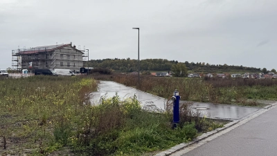 Um die Gestaltung dieser kurzen Verbindung zwischen zwei Wohngebieten streitet man sich in Herriedens Stadtrat schon lange. Nun soll ein Kompromiss gefunden werden.  (Foto: Susanne Pöhlmann)