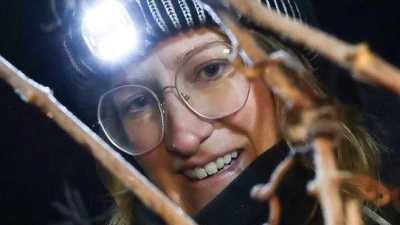 Seit etwa 230 Jahren werden in Franken Eisweine hergestellt. (Foto: Daniel Löb/dpa)