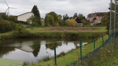 Die Tage der Teichkläranlage in Breitenlohe sind gezählt (Foto: Andreas Reum)