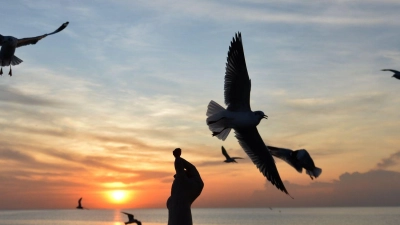 Sonnige Reiseziele sind laut Dertour besonders gefragt. (Archivbild) (Foto: Rachen Sageamsak/XinHua/dpa)