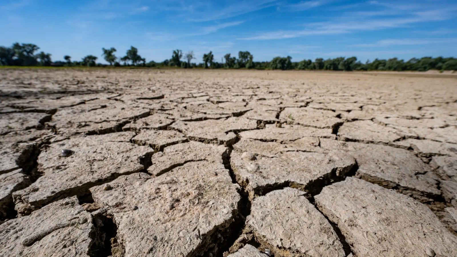 Eine ausgetrocknete Sandbank an der Niedrigwasser führenden Donau. (Foto: Armin Weigel/dpa)