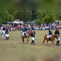 Die Jüngsten des Vereins gaben ihr Bestes beim Pony-Zweikampfwettbewerb. (Foto: Werner Wenk)