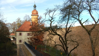 Die Gärten der Zwingermauer sind derzeit noch gesperrt. Sobald der Zaun auf der äußeren Mauer vollständig fertiggestellt ist, werden sie zur Nutzung freigegeben. (Foto: Markus Weinzierl)