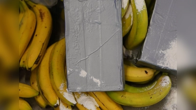 Kokain-Dealer suchen sich nach Angaben von Europol immer neue Schmuggelwege. (Symbolbild) (Foto: Marcus Brandt/dpa)