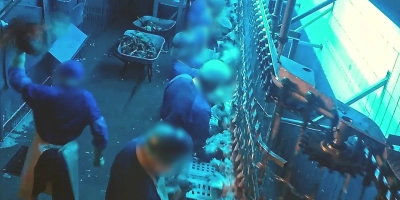 Dieser Ausschnitt aus dem Video von Aninova soll zeigen, wie links ein Mitarbeiter ein Huhn wirft. Angeblich stammen die Aufnahmen aus einem Schlachtbetrieb in Wassertrüdingen. (Foto: Aninova.org)