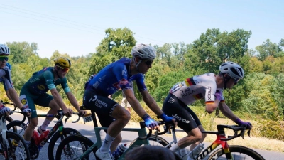 Radprofis bei der 113. Tour de France.  (Foto: Mosa'ab Elshamy/AP/dpa)