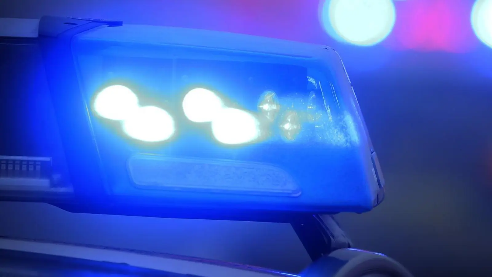 Für den Streit gab es nur eine Lösung: Die Frau musste mit zur Dienststelle. (Symbolbild) (Foto: Karl-Josef Hildenbrand/dpa)