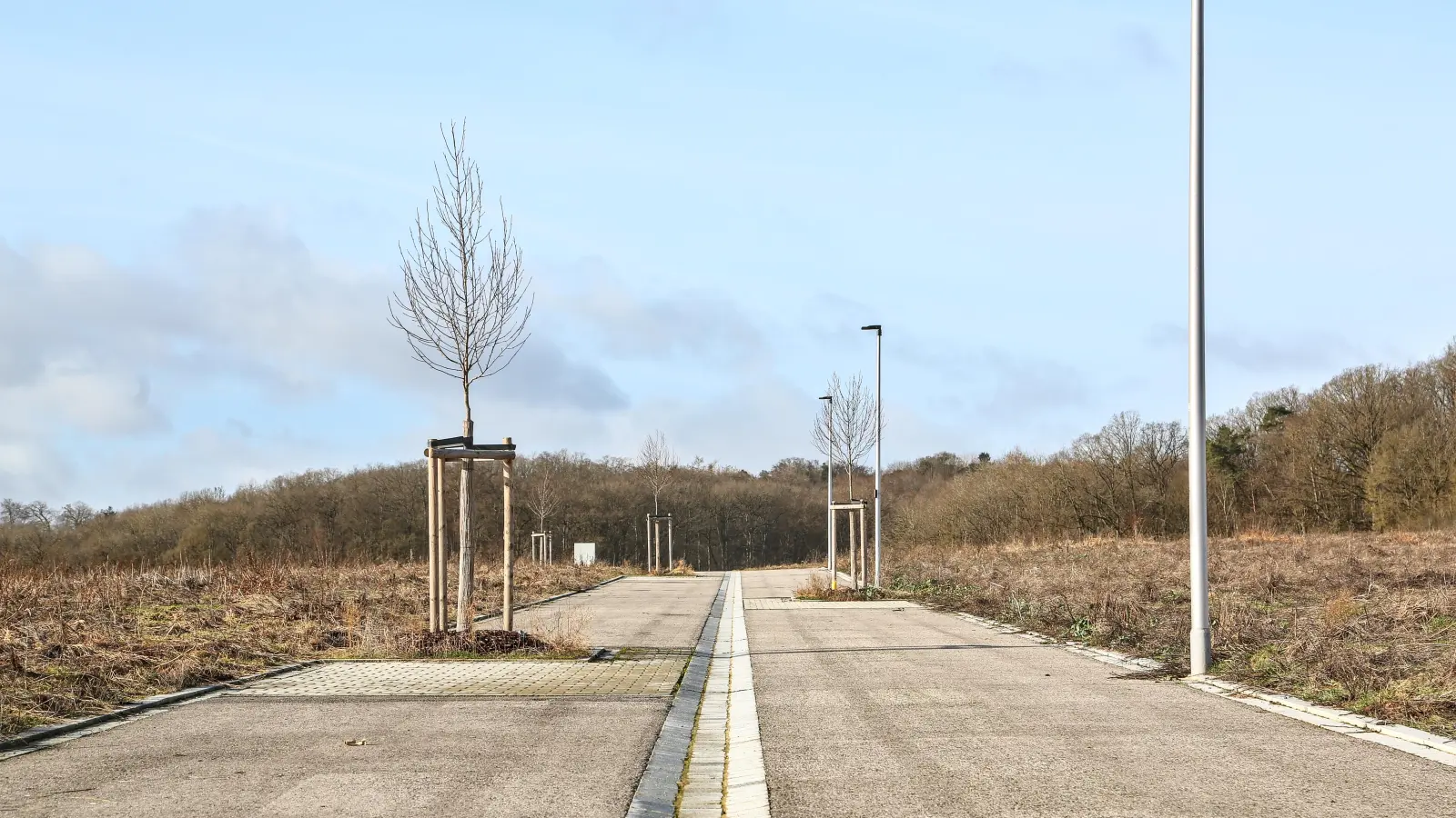 Einen recht tristen Eindruck vermittelt seit Monaten das Baugebiet in der Dora-Hitz-Straße im Stadtteil Hennenbach. Von neuen Häusern keine Spur, verkauft ist auch Monate nach dem Start der Vermarktung noch kein einziges Grundstück. (Foto: Tizian Gerbing)