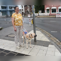 Blindenführhund Timmi begleitet sein Frauchen Andrea Conner schon seit neun Jahren. (Foto: Ute Niephaus)