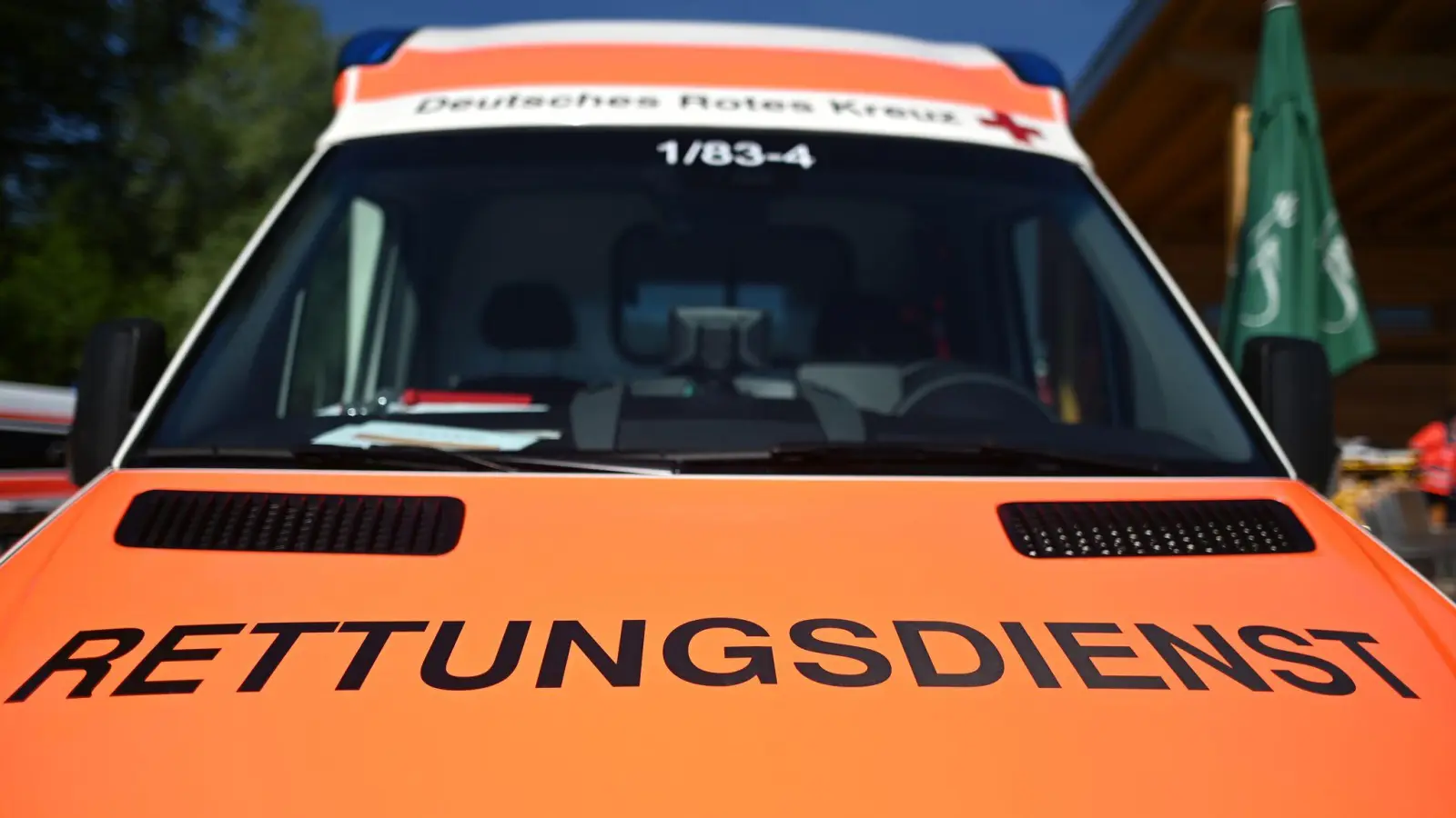 Nach einem Unfall brachte der Rettungsdienst die Fahrerin vorsorglich ins Krankenhaus. (Symbolbild: Patrick Seeger/dpa)