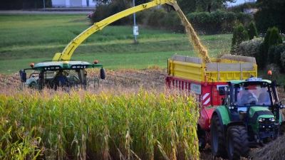 Auch in der Umgebung von Sachsen bei Ansbach sind die meisten Maisfelder abgeerntet. Die Erträge werden auch maßgeblich vom Standort der Äcker beeinflusst. (Foto: Kurt Güner)