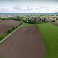 Äcker und Felder haben als Wasserspeicher große Potenziale in Sachen Starkregenschutz. Eine sinnvolle Umsetzung soll nun am Beerbacher Weg in Neustadt mit einem Pilotprojekt begleitet werden. (Foto: Mirko Fryska)