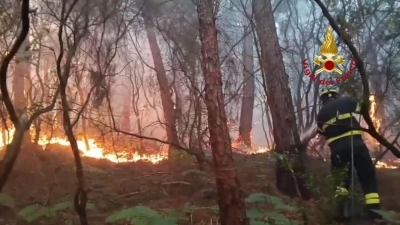 Wegen des Waldbrands haben mehr als 3.500 Menschen ihre Häuser verlassen müssen. (Foto: -/Vigili del Fuoco/dpa)