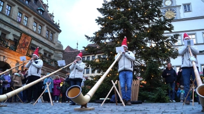 Die Alphorngruppe Edelweiß mit (von links) Tobias Nagel, Claudia Reinhardt, Erich Arnet und Joachim Grimm sorgte auf dem Weihnachtsmarkt für Stimmung. (Foto: Simone Hedler)