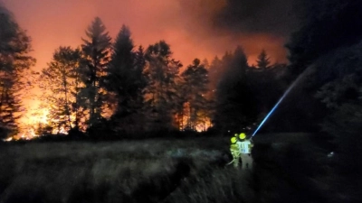 Wieder brennt ein Waldstück, dieses Mal bei Schnaittenbach in der Oberpfalz. (Symbolbild) (Foto: Wolfgang Gasser/Kreisfeuerwehrverband Traunstein/dpa)