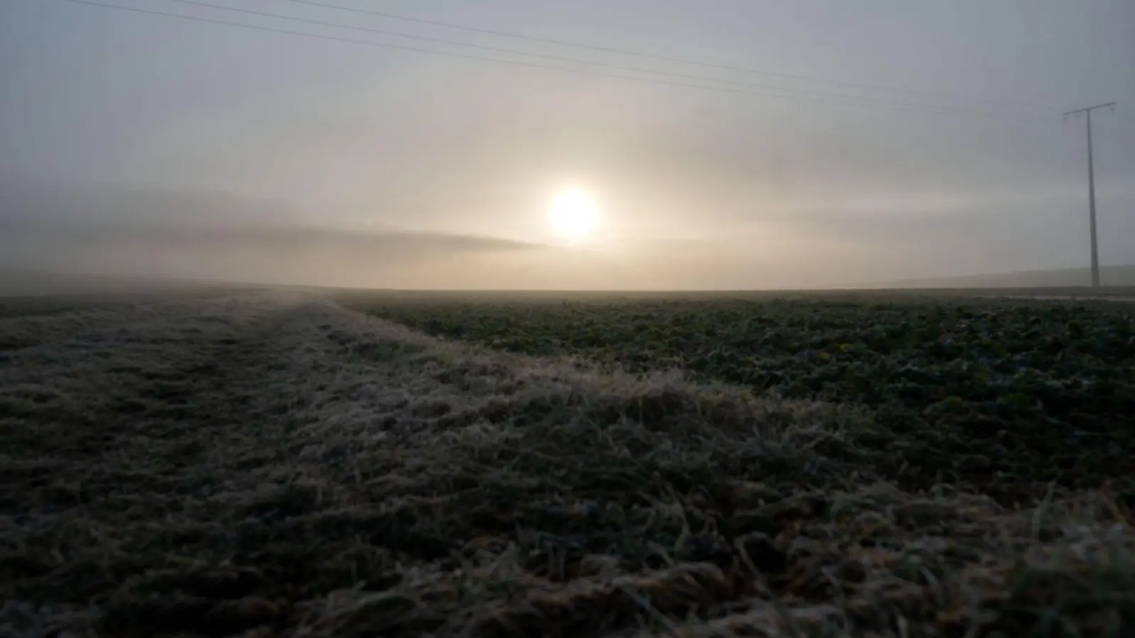 Nachts ist es in Bayern bisweilen noch leicht frostig. Doch tagsüber zeigt sich die Sonne bei frühlingshaften Temperaturen. (Archivbild) (Foto: Pia Bayer/dpa)