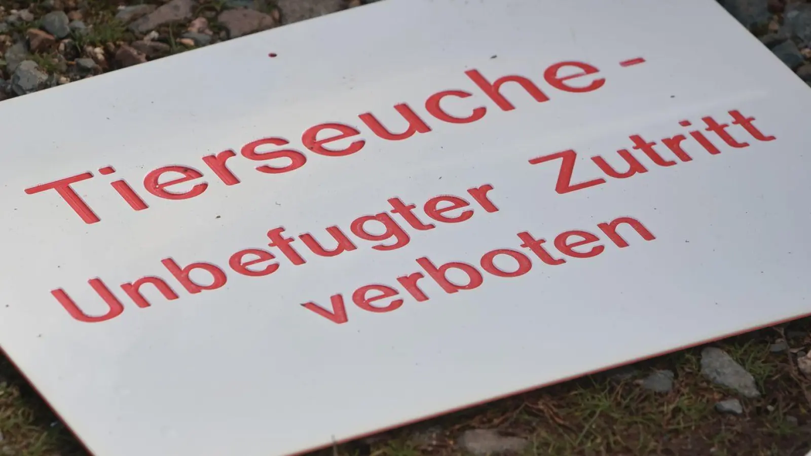 Erneut ist ein Betrieb im Landkreis Mühldorf am Inn betroffen. (Symbolbild) (Foto: Matthias Bein/dpa)