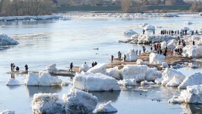 Eisberge auf der Elbe (Foto: Bodo Marks/dpa)