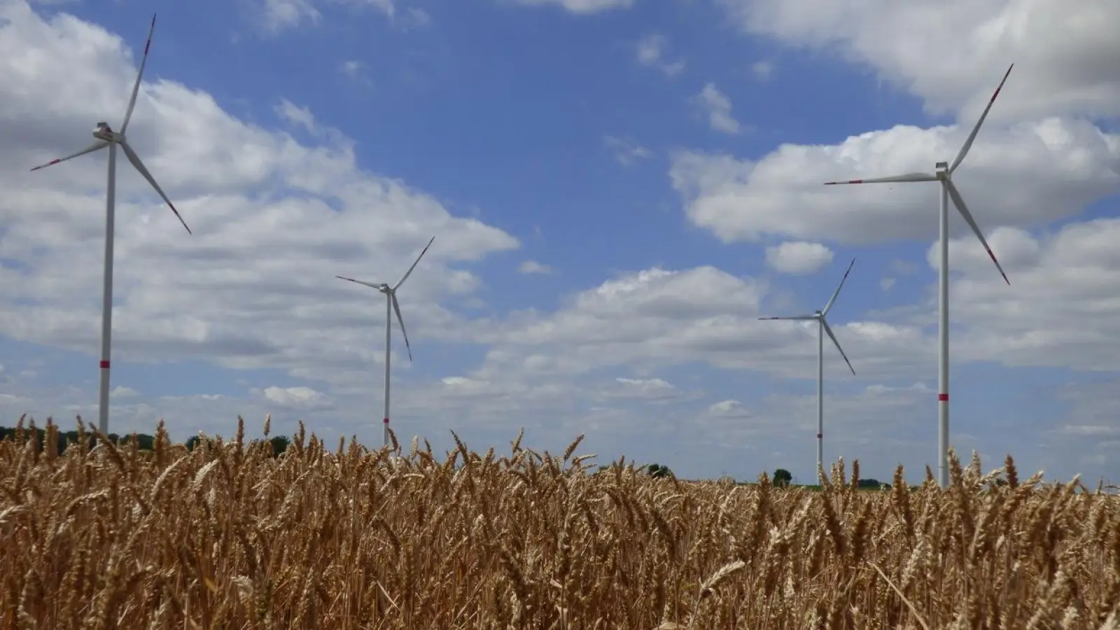 Rund um Uffenheim stehen schon einige Windräder. Im Windpark „Reislein II” soll nun eine fünfte Anlage gebaut werden. (Foto: Sylvia Fehlinger)