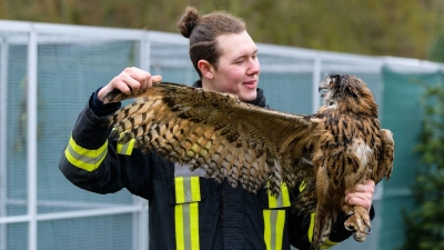 Jaden Ernst, Betreiber einer Wildtierauffangstation, kontrolliert die Flügel von einem Uhu. (Foto: Philipp Schulze/dpa)