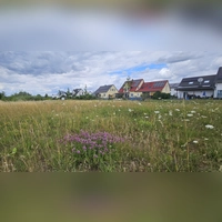Auf dieser Wiese am südlichsten Rand von Weidenbach wollen Kinder bolzen. Doch den direkten Anliegern gefällt das nicht. Vor einer Entscheidung will der Gemeinderat mit den Siedlungsbewohnern ins Gespräch kommen. (Foto: Wolfgang Grebenhof)