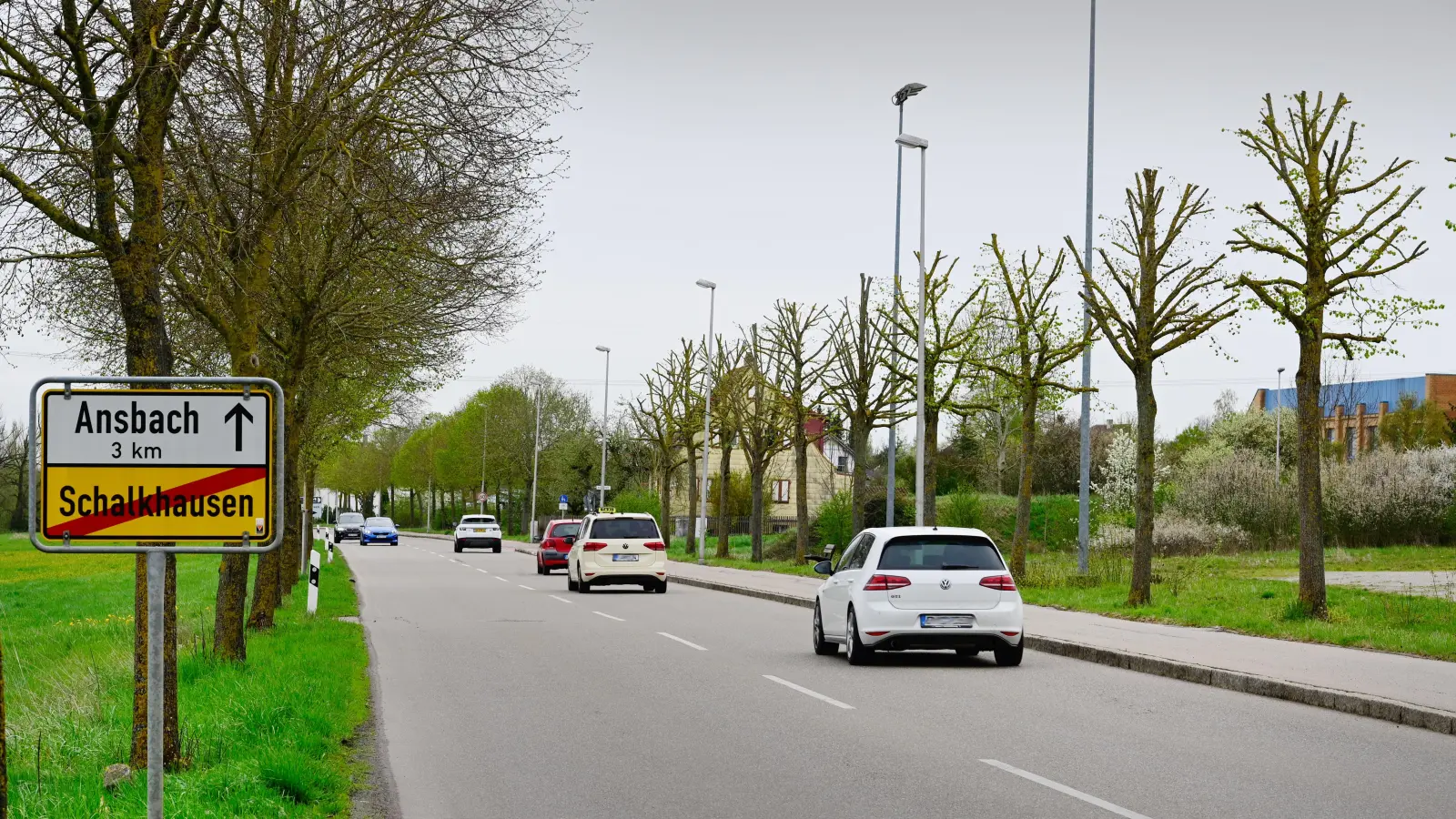 Die Winterlinden zwischen der Berghofstraße und dem Ortseingang von Schalkhausen zeigen inzwischen wieder zartes Grün. (Foto: Jim Albright)