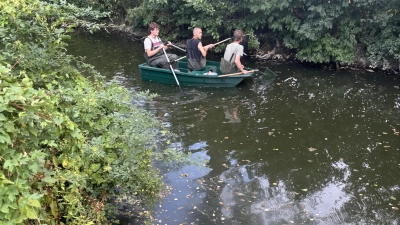 Mitglieder des Fischereivereins sind mit dem Boot auf der Aisch unterwegs, um tote Fische einzusammeln. (Foto: Matthias Schubart)